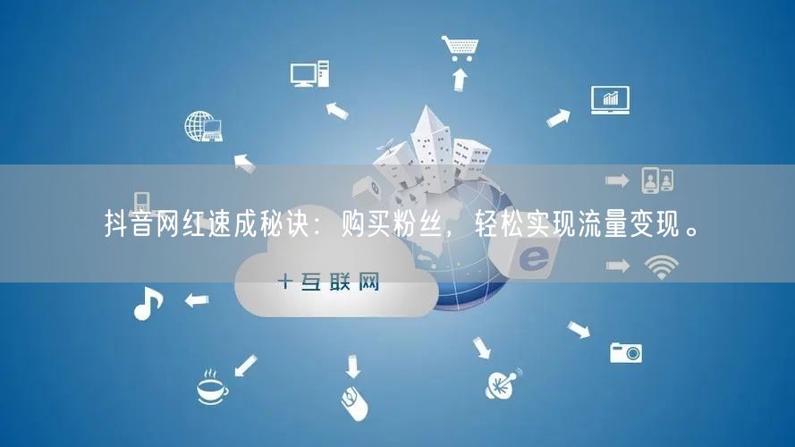 抖音网红速成秘诀：购买粉丝，轻松实现流量变现。